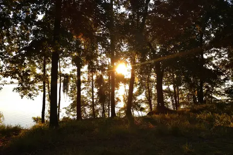 Cypress View - Santee State Park