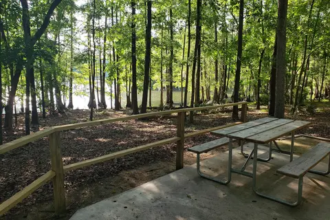 Cypress View - Santee State Park