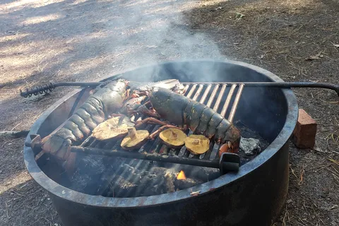 Wellfleet Hollow State Campground