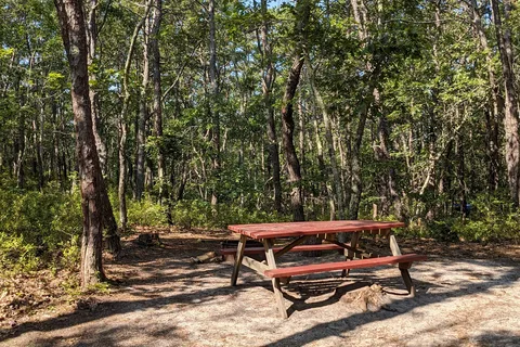 Wellfleet Hollow State Campground