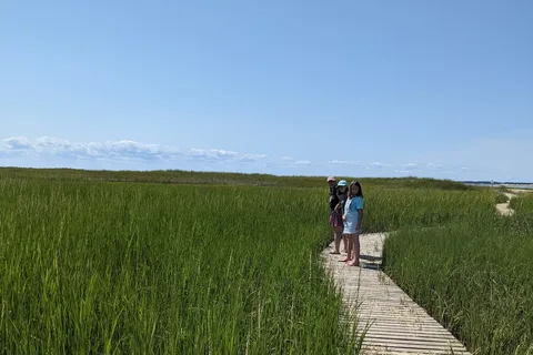 Wellfleet Hollow State Campground