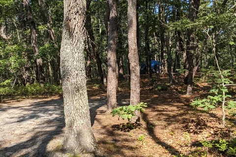 Wellfleet Hollow State Campground