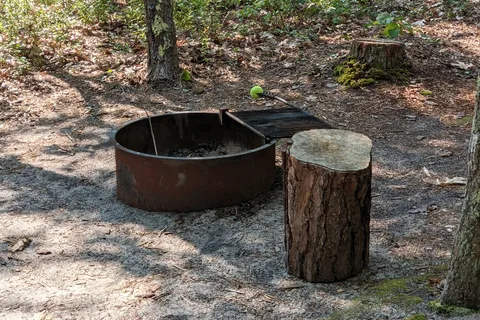 Wellfleet Hollow State Campground