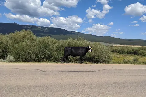 Colorado Dream Ranch RV Park