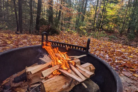 Gifford Woods State Park