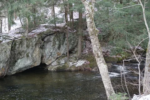 Gifford Woods State Park