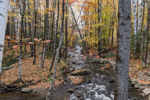 Gifford Woods State Park