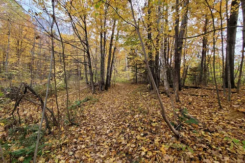 Gifford Woods State Park