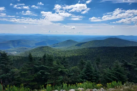Gifford Woods State Park