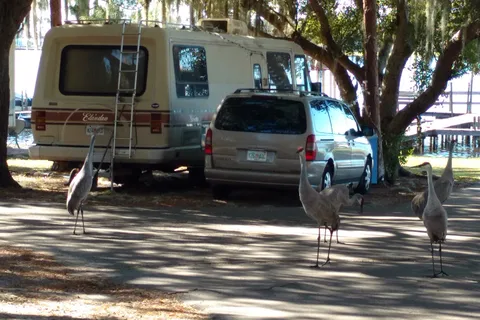 Paradise Island RV Park