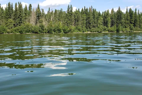 Sandy Bay - Candle Lake Provincial Park