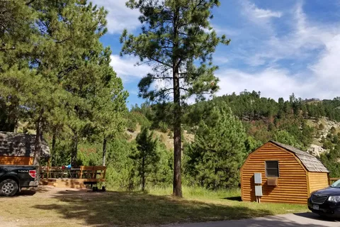 Blue Bell - Custer State Park