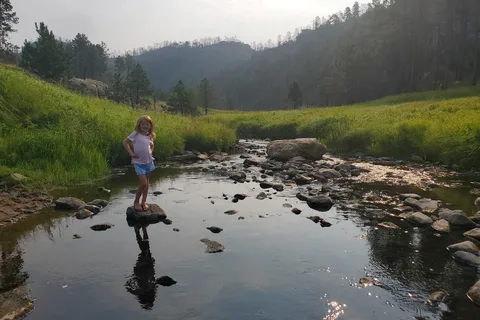 Blue Bell - Custer State Park