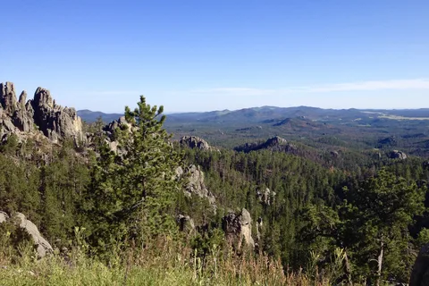 Blue Bell - Custer State Park
