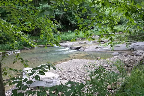 Twin Streams Campground