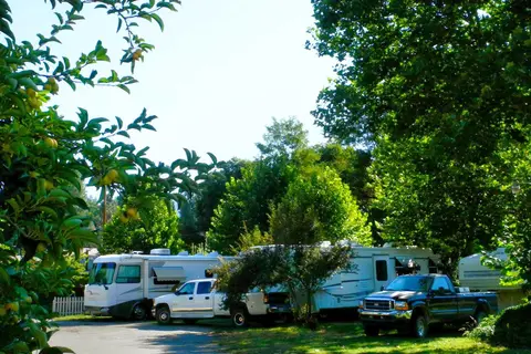 Bigfoot RV Park and Cabins