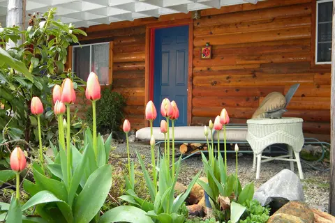 Bigfoot RV Park and Cabins