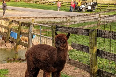 Gettysburg Farm RV Campground