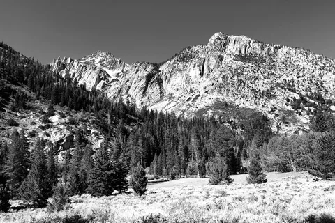 Annett's Mono Village