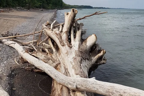 Wheatley Provincial Park