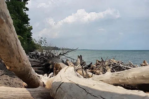 Wheatley Provincial Park