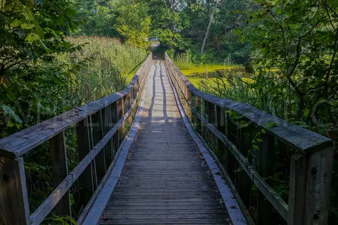 Wheatley Provincial Park