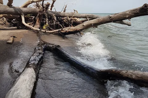 Wheatley Provincial Park