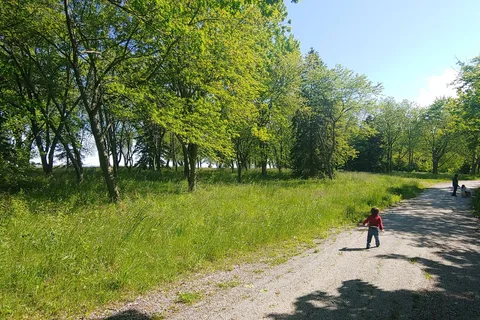 Wheatley Provincial Park