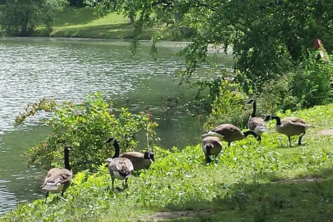 Knoebels Lake Glory Campground