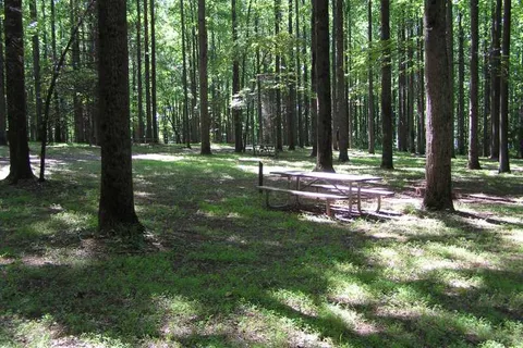 Knoebels Lake Glory Campground