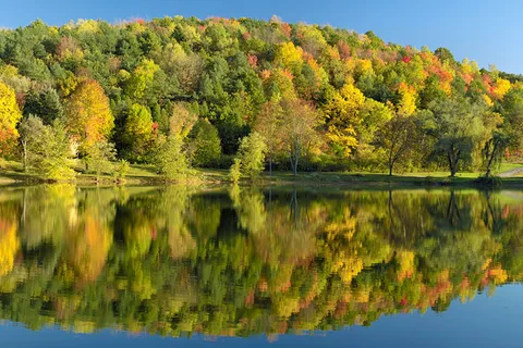 Knoebels Lake Glory Campground