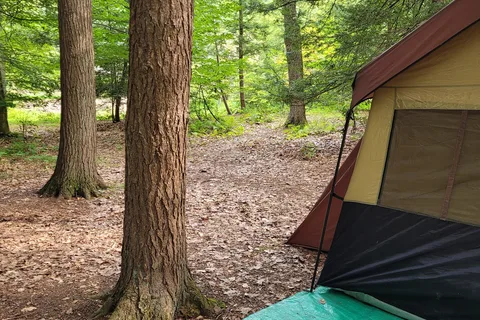 Knoebels Lake Glory Campground