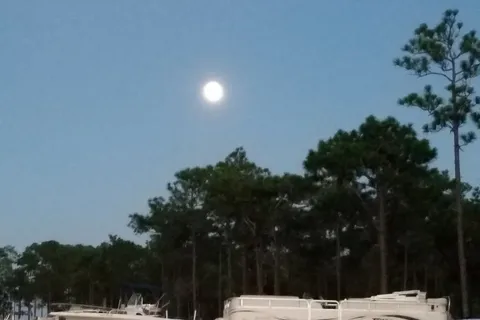 Bay Palms RV Resort