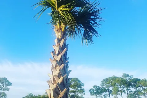 Bay Palms RV Resort