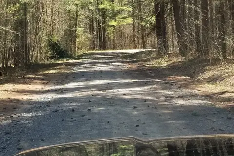 Walter Pratt Memorial Park - DEC