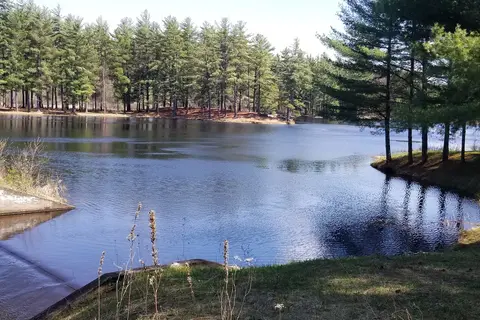 Walter Pratt Memorial Park - DEC