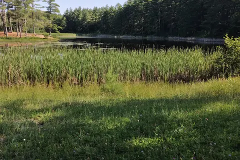 Walter Pratt Memorial Park - DEC