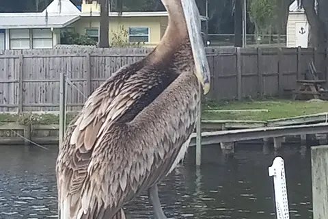 Georgetown Marina, Lodge and RV Park