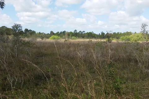 Sun-N-Shade Campground