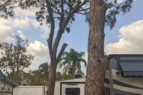 Sun-N-Shade Campground