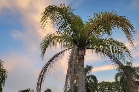 Sun-N-Shade Campground