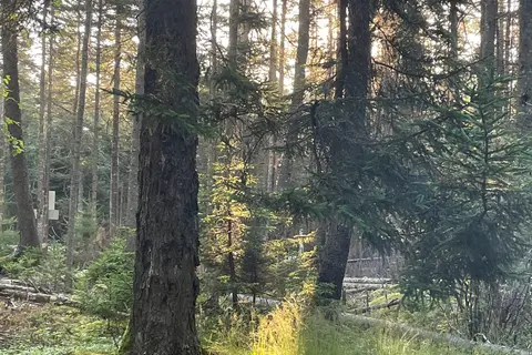 Seawall Campground - Acadia National Park