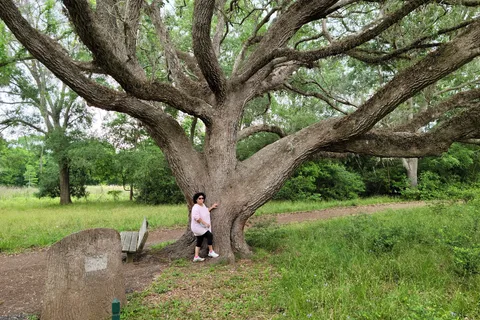 Brazos Bend State Park