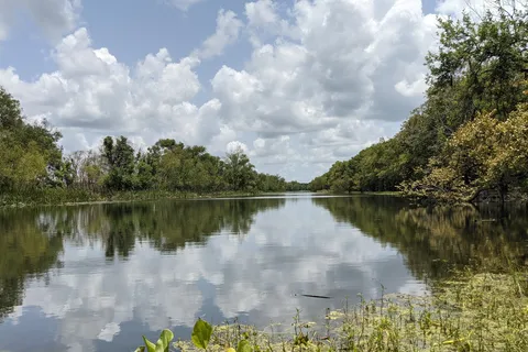 Brazos Bend State Park