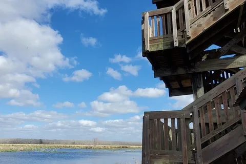 Brazos Bend State Park