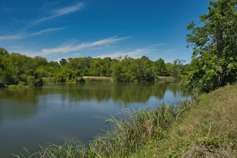Brazos Bend State Park