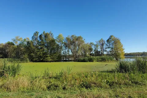 Brazos Bend State Park