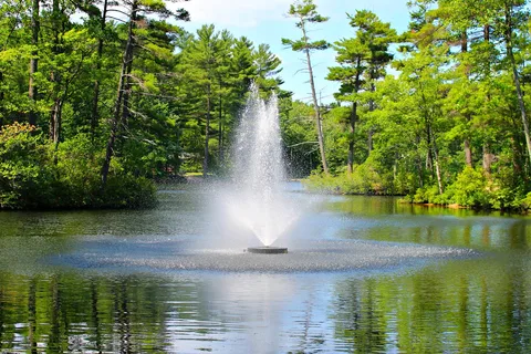 Pine Acres Family Camping Resort