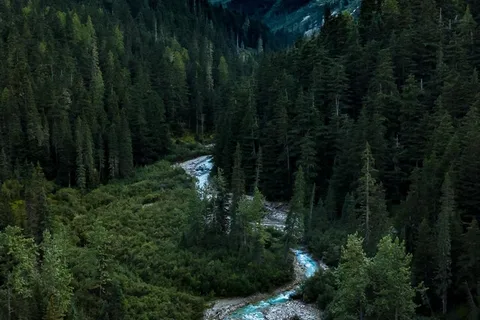 Loop Brook Campground - Glacier National Park