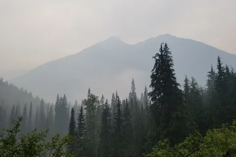 Loop Brook Campground - Glacier National Park